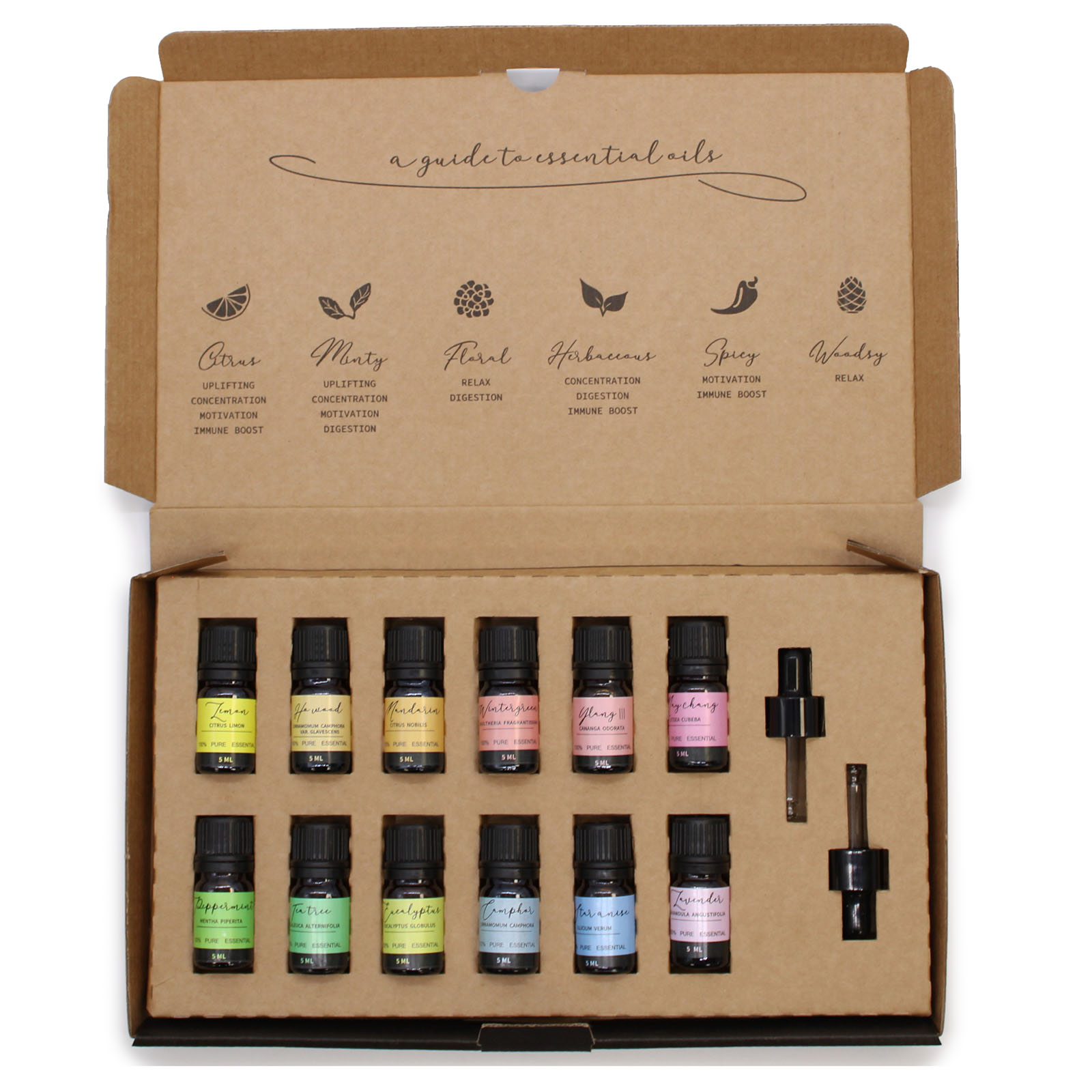 Aromatherapy Essential Oil Set - Starter Pack - Image 4